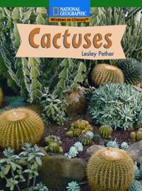 win-fl-a-cactuses