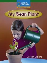 win-fl-b-my-bean-plant