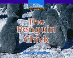 win-ea-a-the-penguin-chick