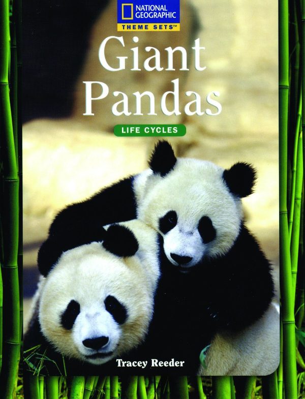 giant-pandas